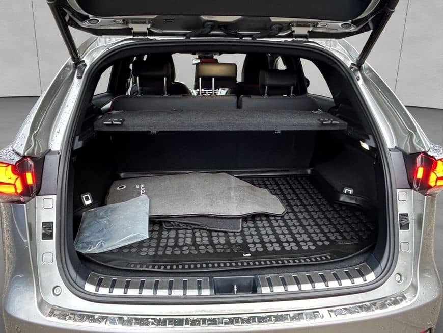 Lexus NX 300h E-FOUR F Sport, Leder, LED, AHK, Allw. foto 5