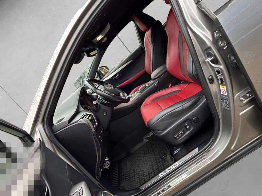 Lexus NX 300h E-FOUR F Sport, Leder, LED, AHK, Allw. foto 10