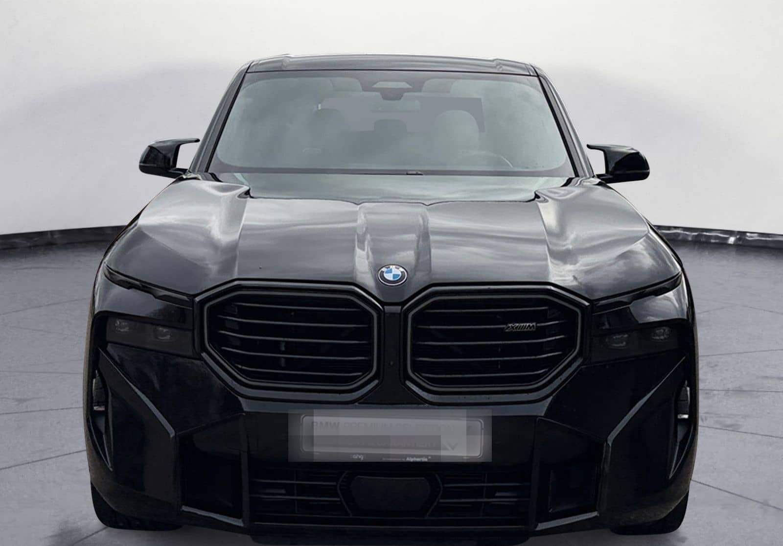 BMW XM M Driver's Package AHK Bowers & Wilkins Soft- foto 8