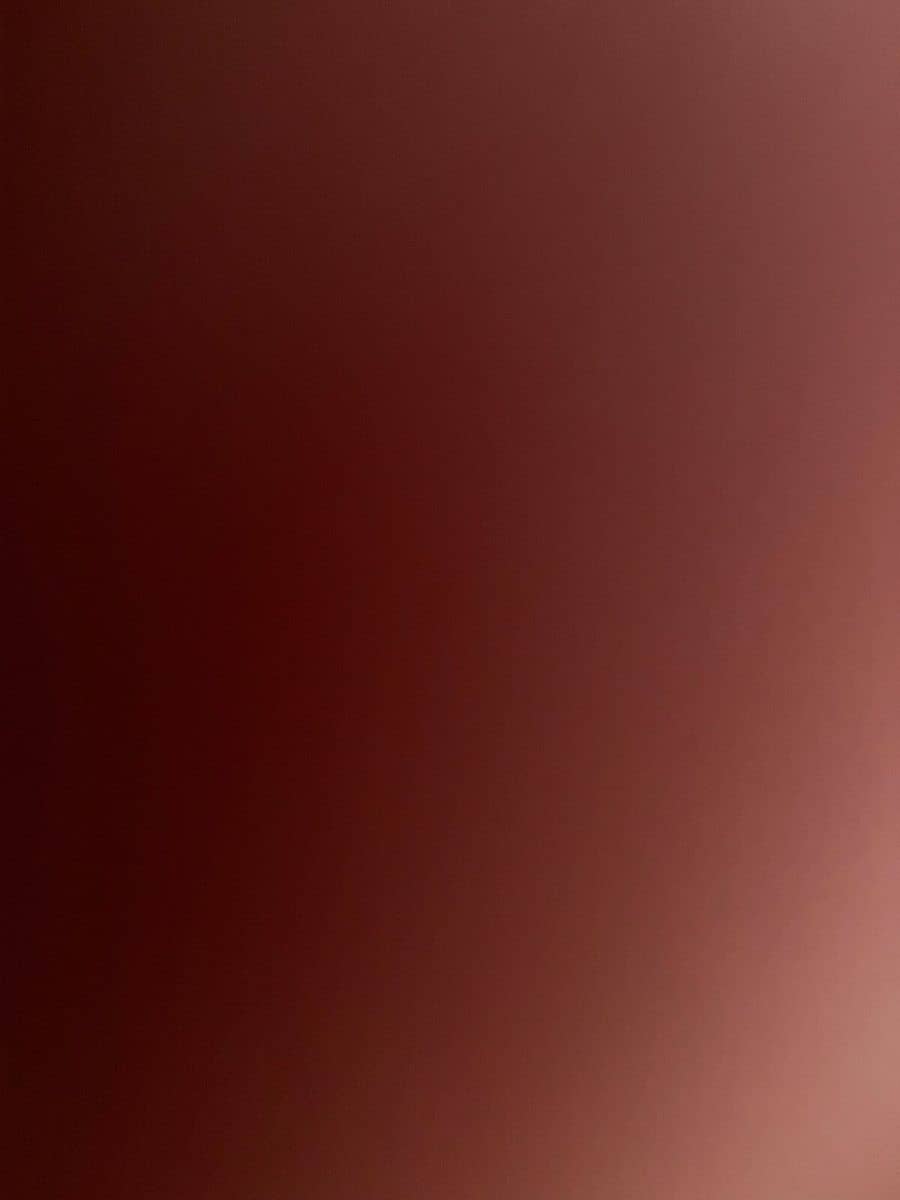 Mercedes-Benz E 450 d 4M T AMG+NIGHT+AHK+DISTRO+PANO+BURME+HUD foto 13