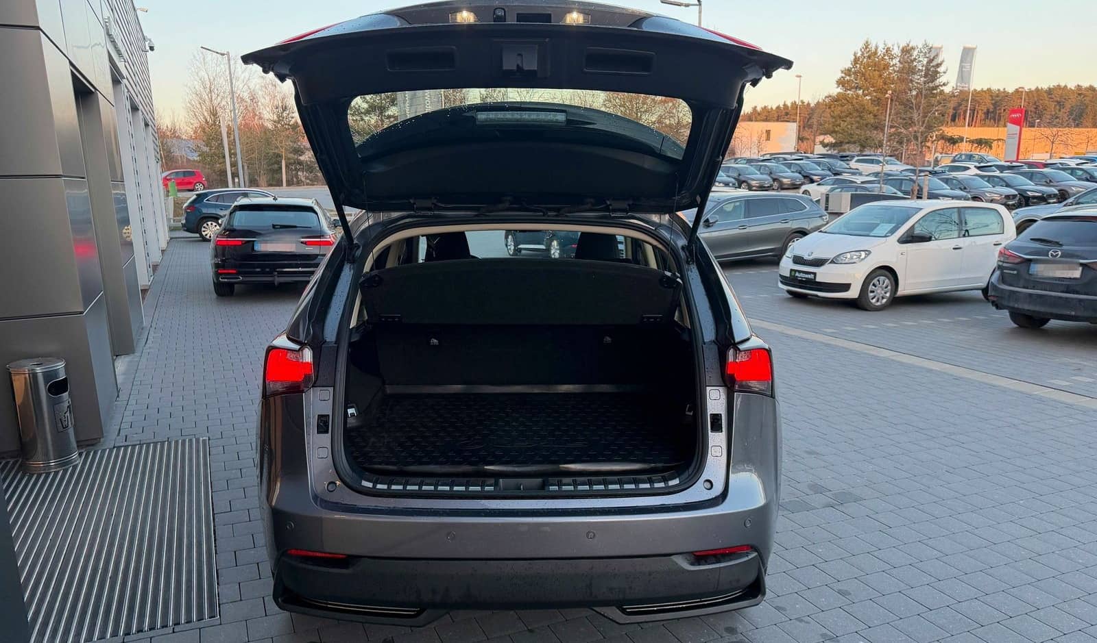 Lexus NX 200 t KAMERA/LED/SHZ foto 5