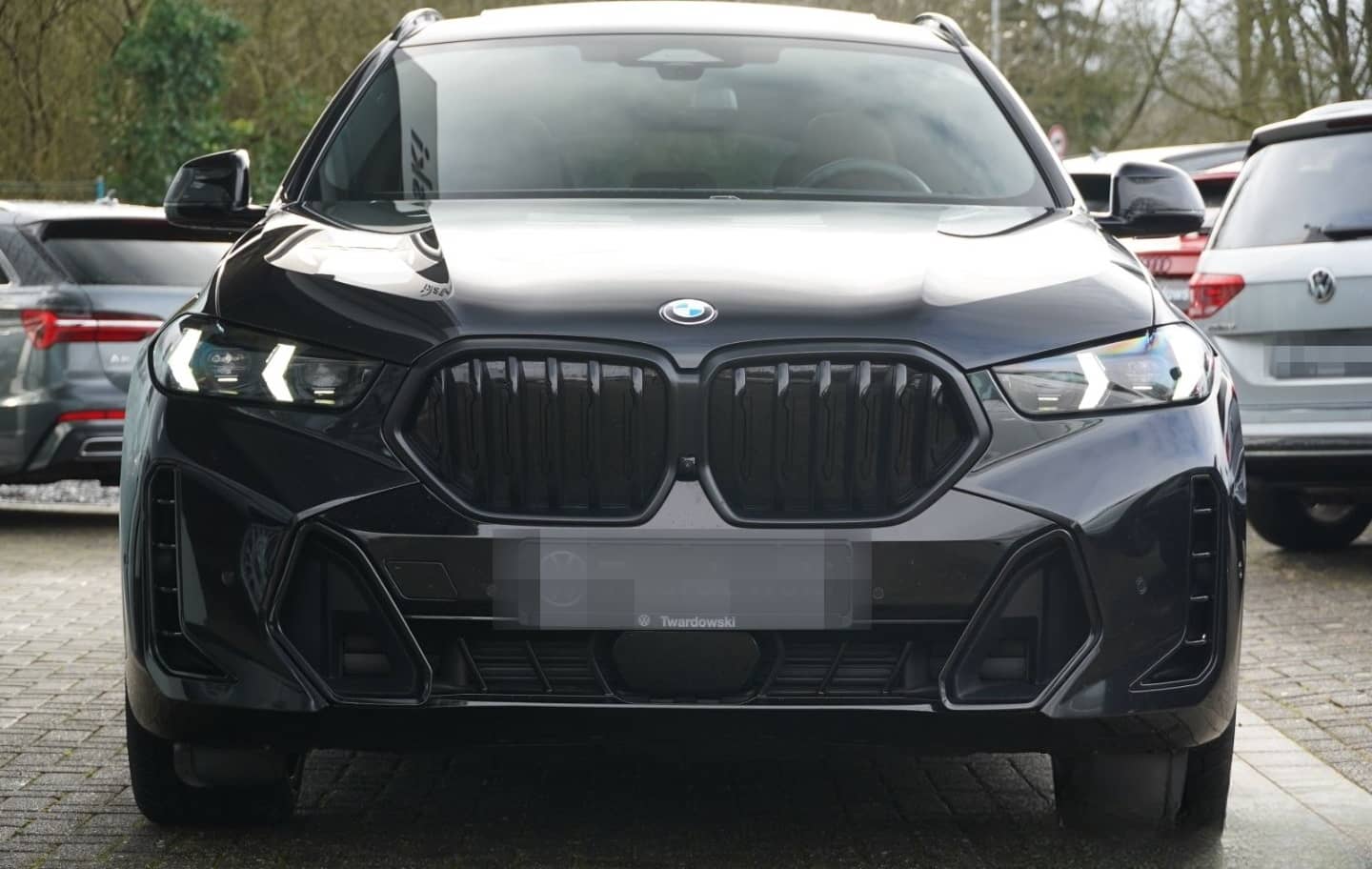 BMW X6 40 d M Sport Comfort+ Exkl H&K PANO Memo AHK  foto 2