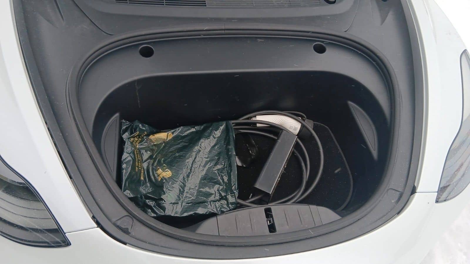 Tesla Model 3 Long Range Dual AWD foto 12