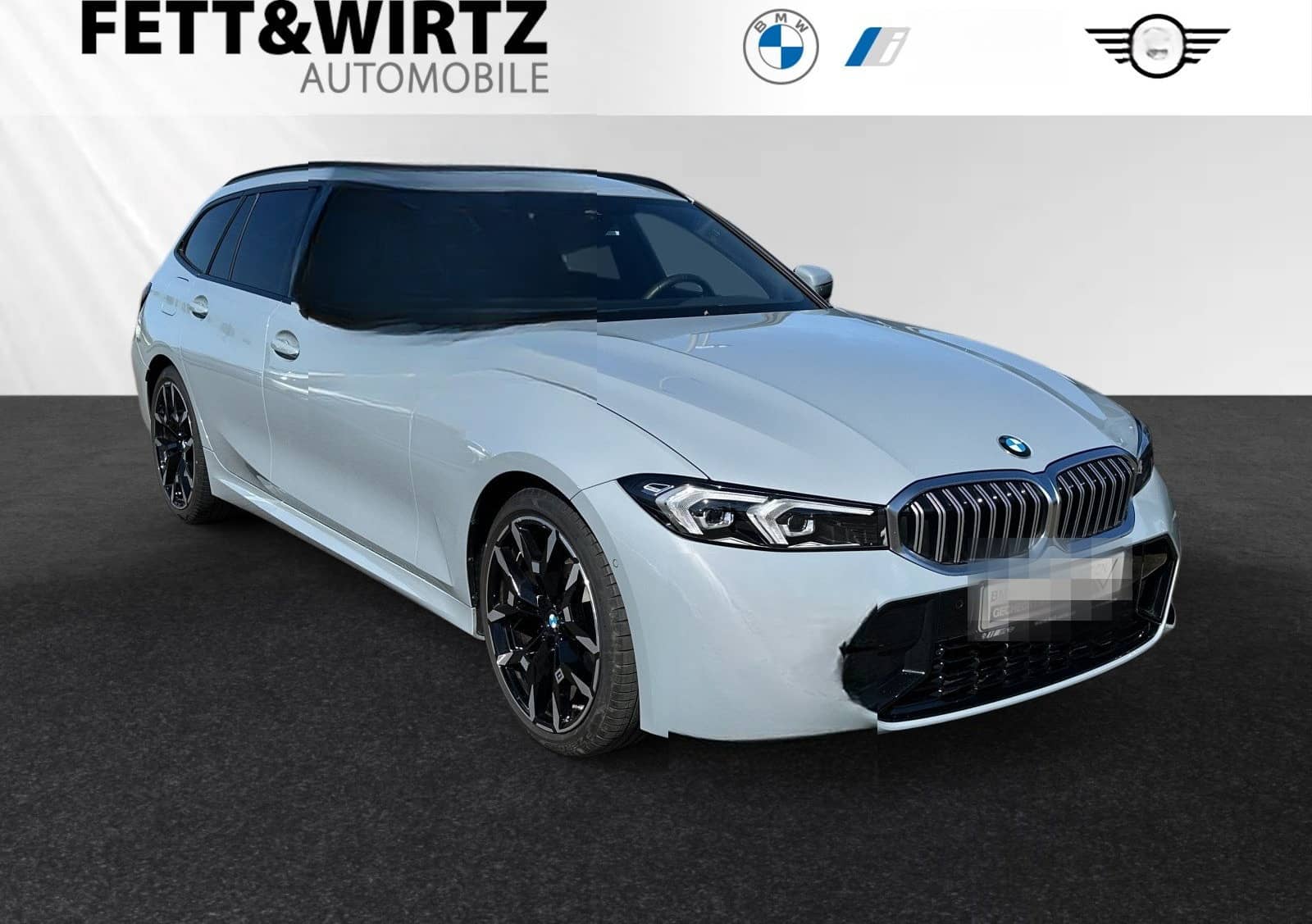 BMW 318d Touring M Sportpaket|19"LMR|Parkass. foto 1