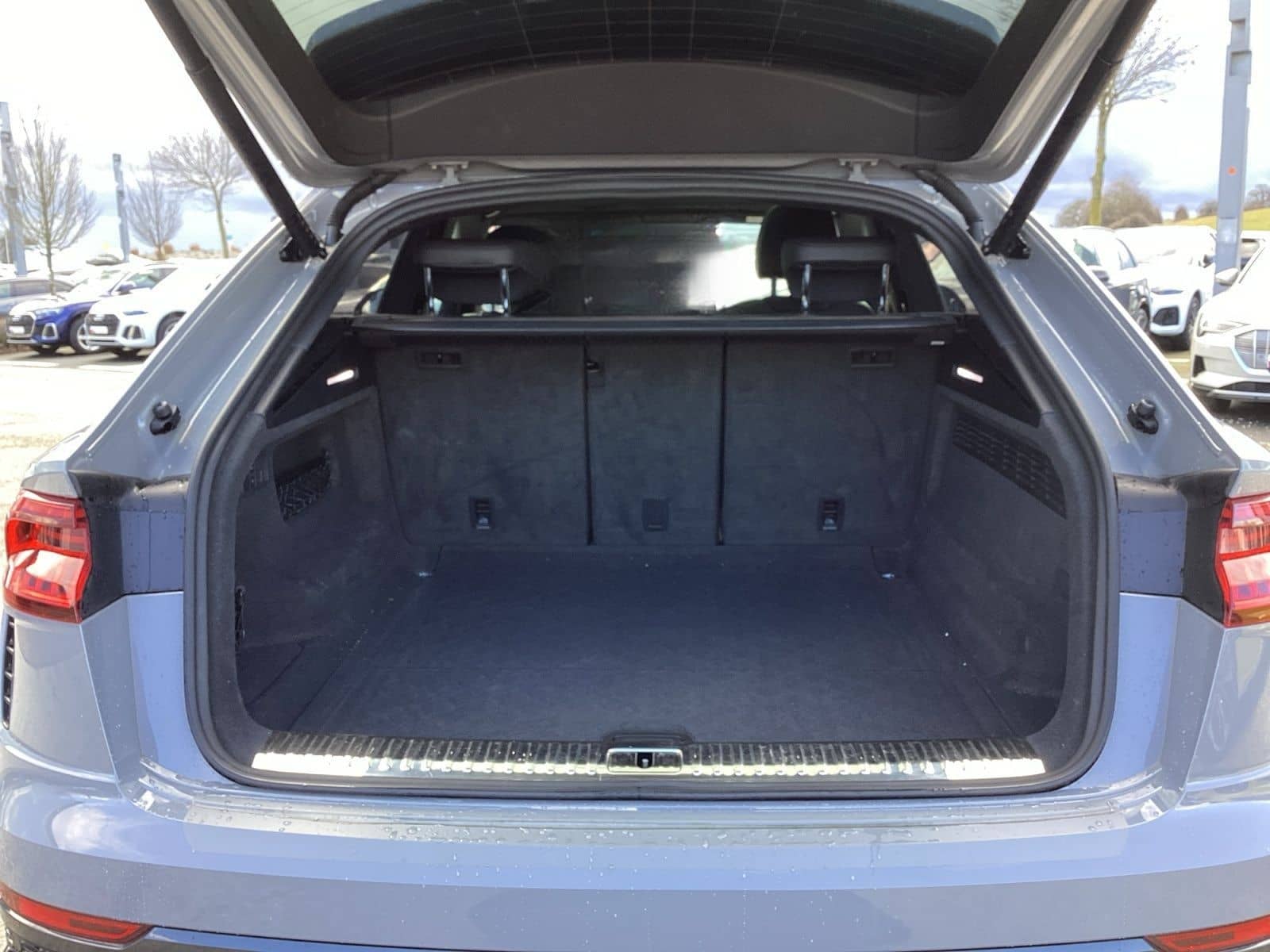 Audi RSQ8 4.0 TFSI q. Tiptr., RS-Sportabgasanlage, He foto 14