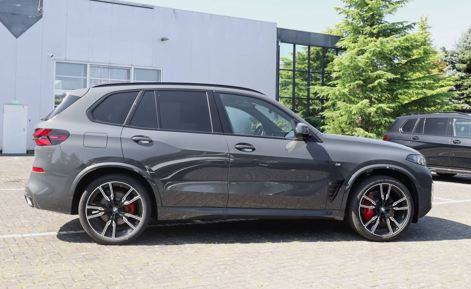 BMW X5 xDrive40d foto 3