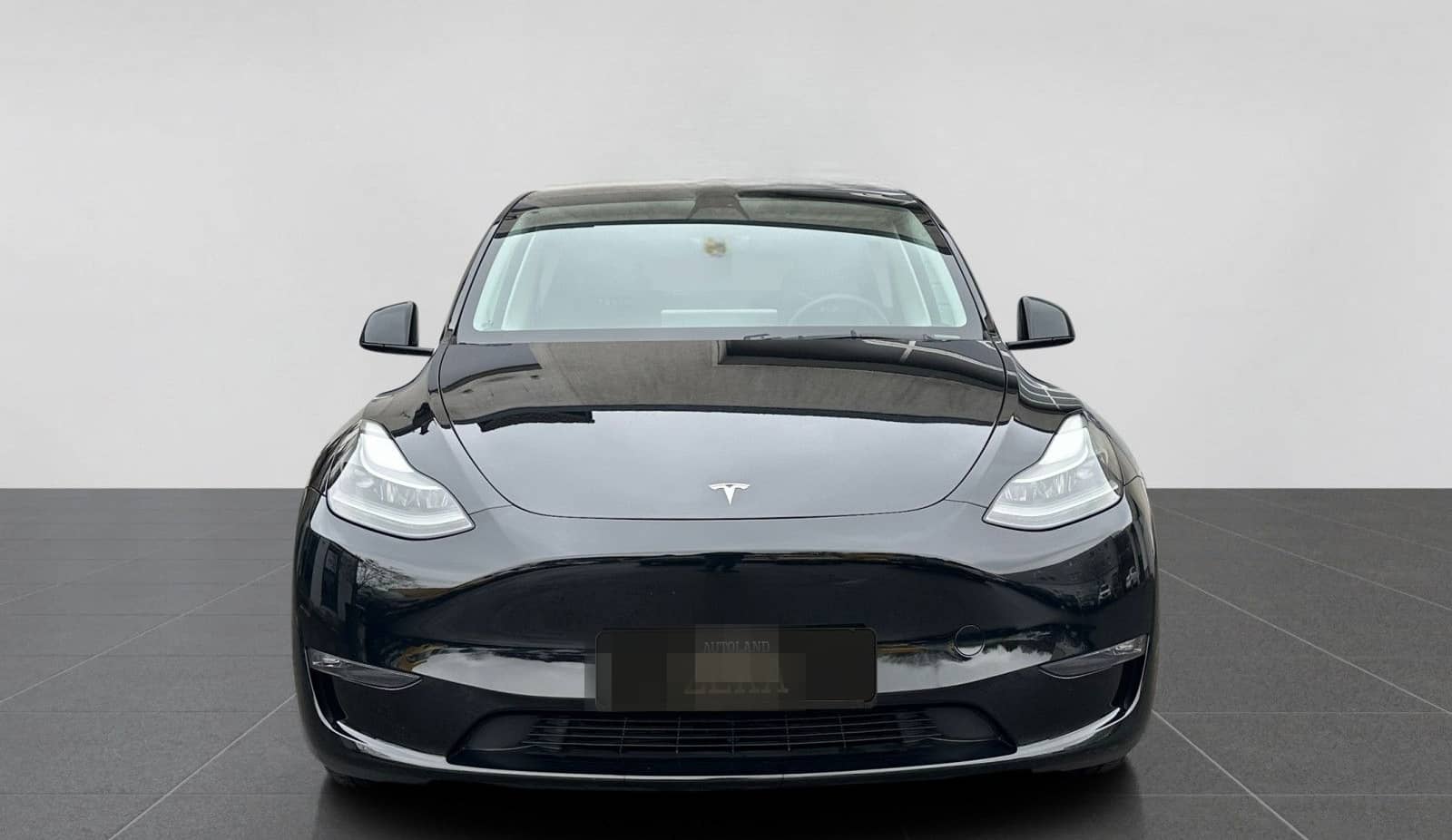 Tesla Model Y Performance DualMotor AWD foto 2