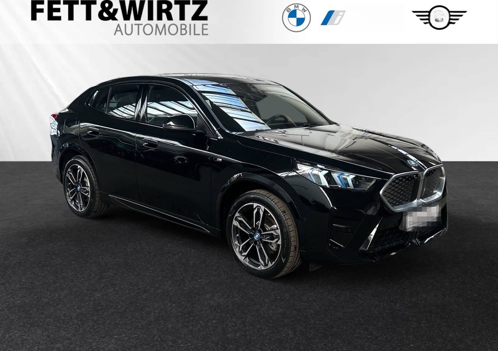 BMW iX2 eDrive20 M Sportpaket|Parkass.|19"LMR foto 1