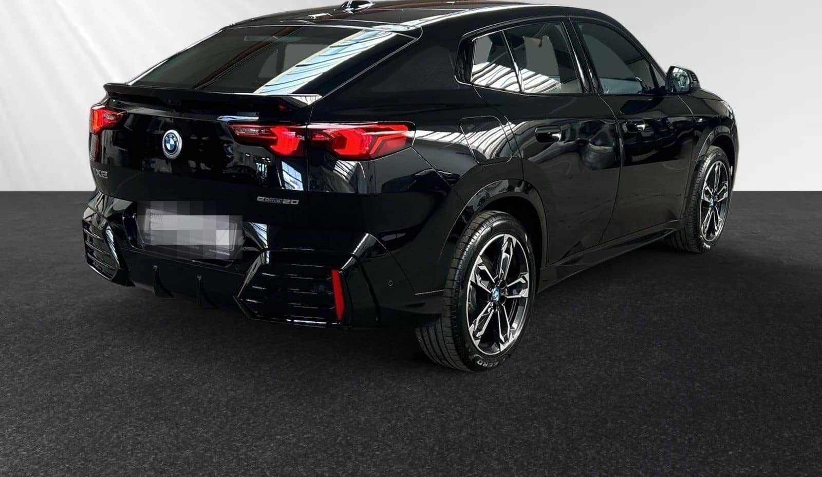 BMW iX2 eDrive20 M Sportpaket|Parkass.|19"LMR foto 3