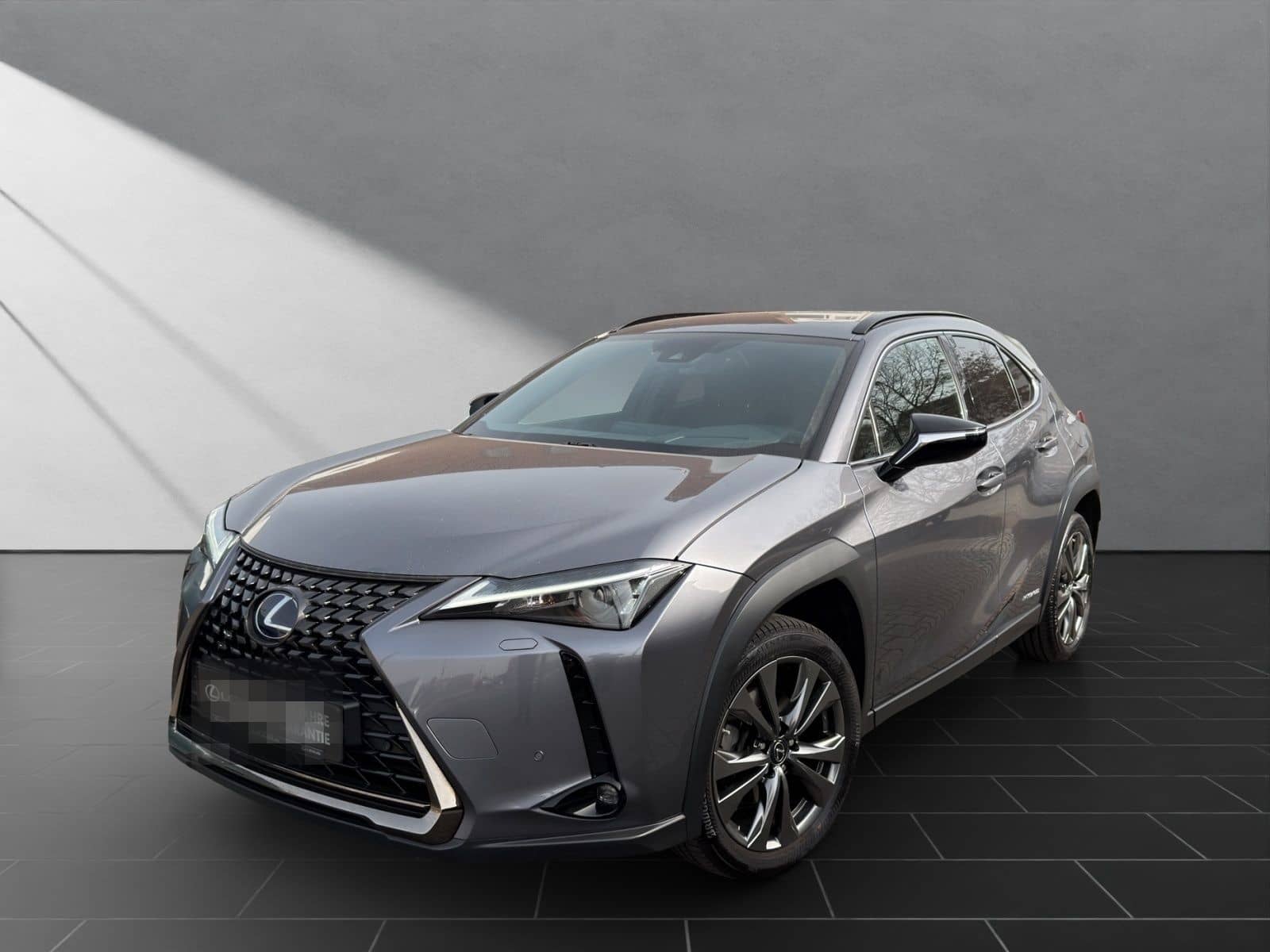 Lexus UX 250H*SCHECKHEFT*TOTW*LEDER* foto 1