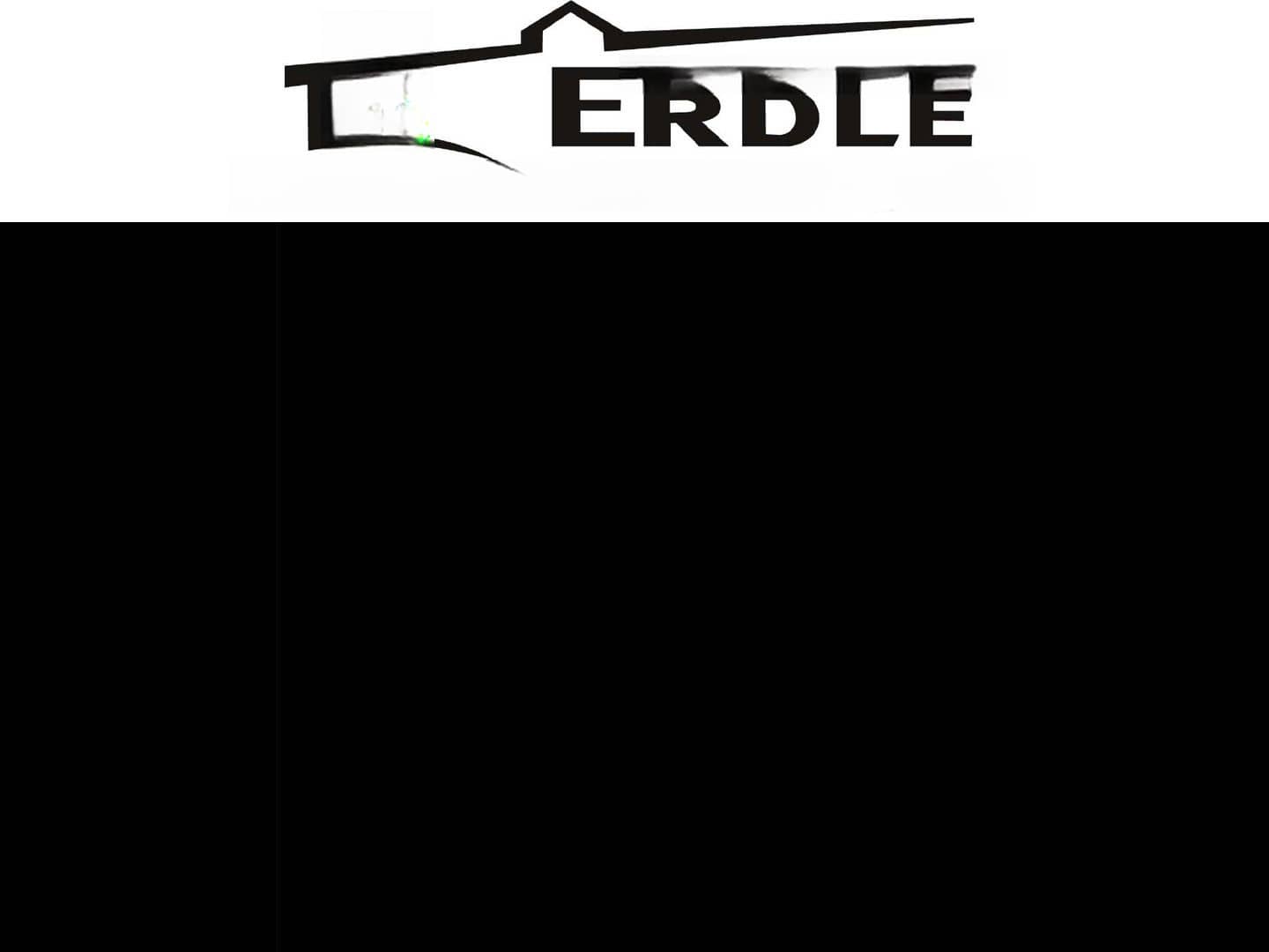 Volkswagen T-Cross Move 1.5 TSI DSG *blind spot *rear view  foto 20