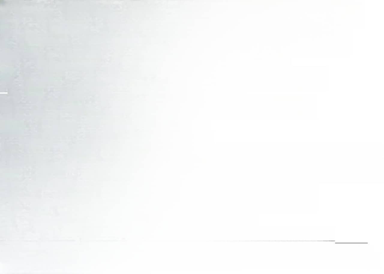 BMW X5 M60i xD M Sport AHK  NAVI   PaAssProf  4Klima foto 7