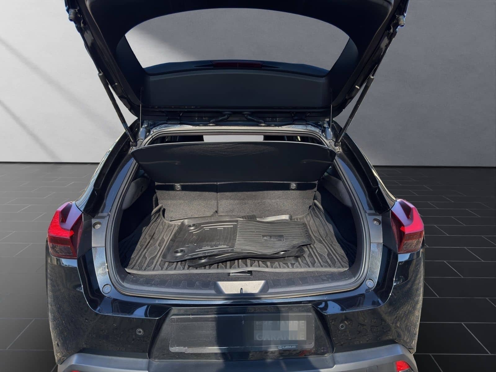 Lexus UX 250h Style SHZ Kamera Alu foto 19