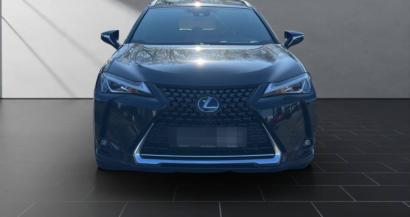 Lexus UX 250h Style SHZ Kamera Alu foto 8