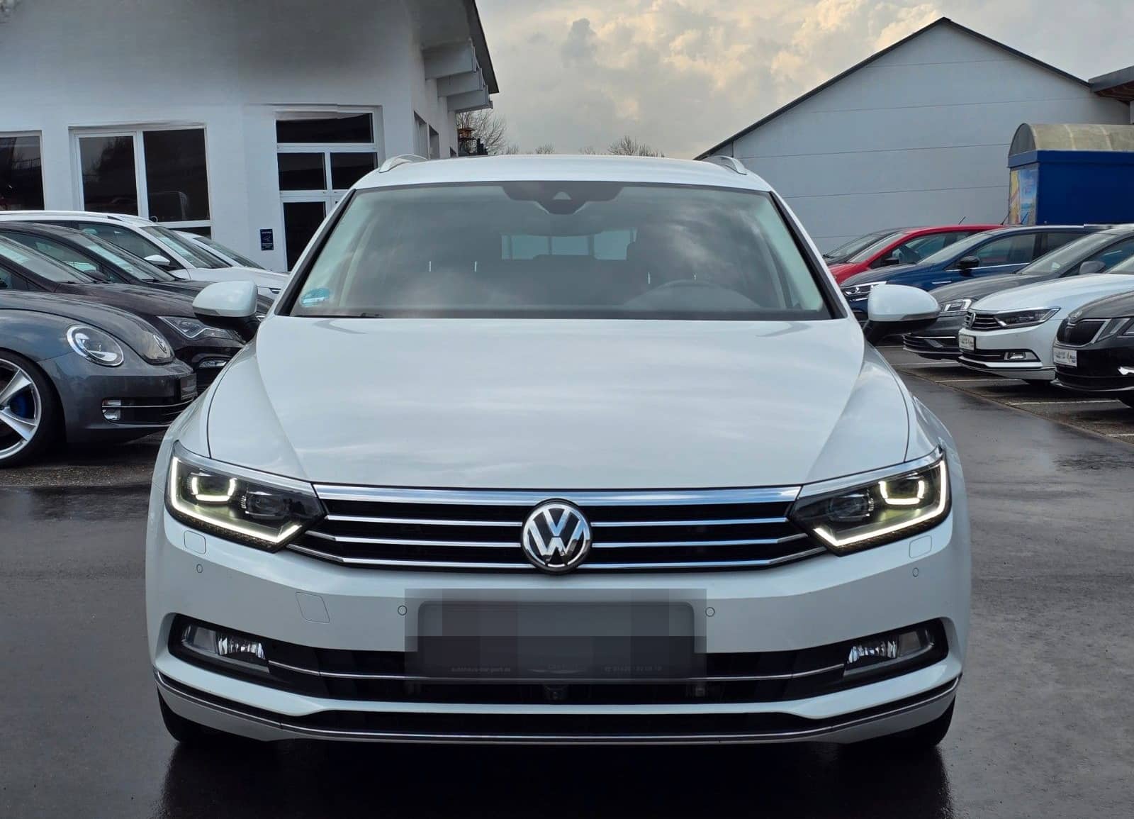 Volkswagen Passat Variant |STHZ| SHZ| LKHZ| MASSAGE foto 6