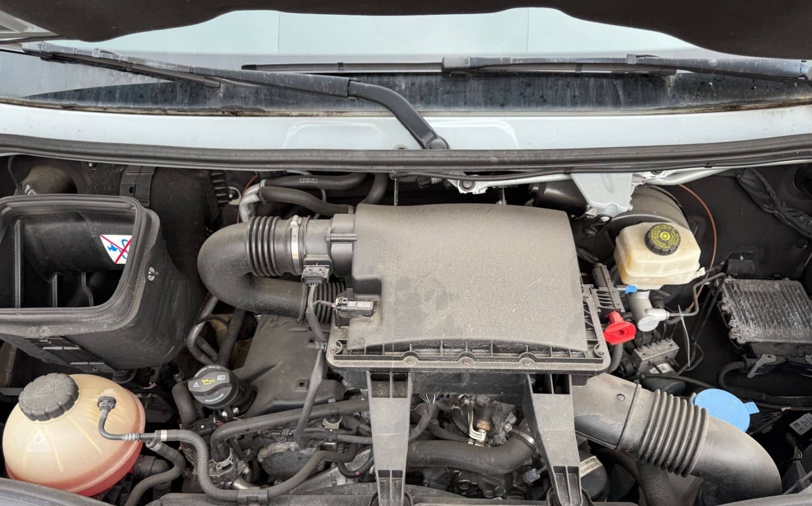 Mercedes-Benz Sprinter III Kasten RWD/AWD 319 CDI RWD L3 / L4 foto 24