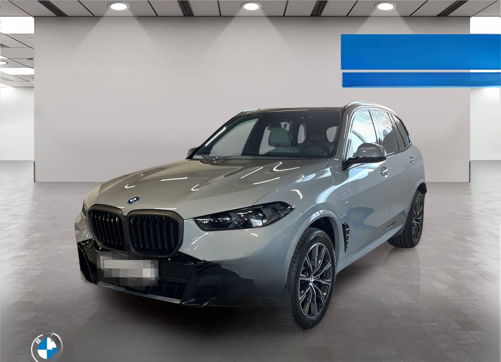 BMW X5 xDrive50e M Sport AHK Driv.Assist.Prof LED foto 1
