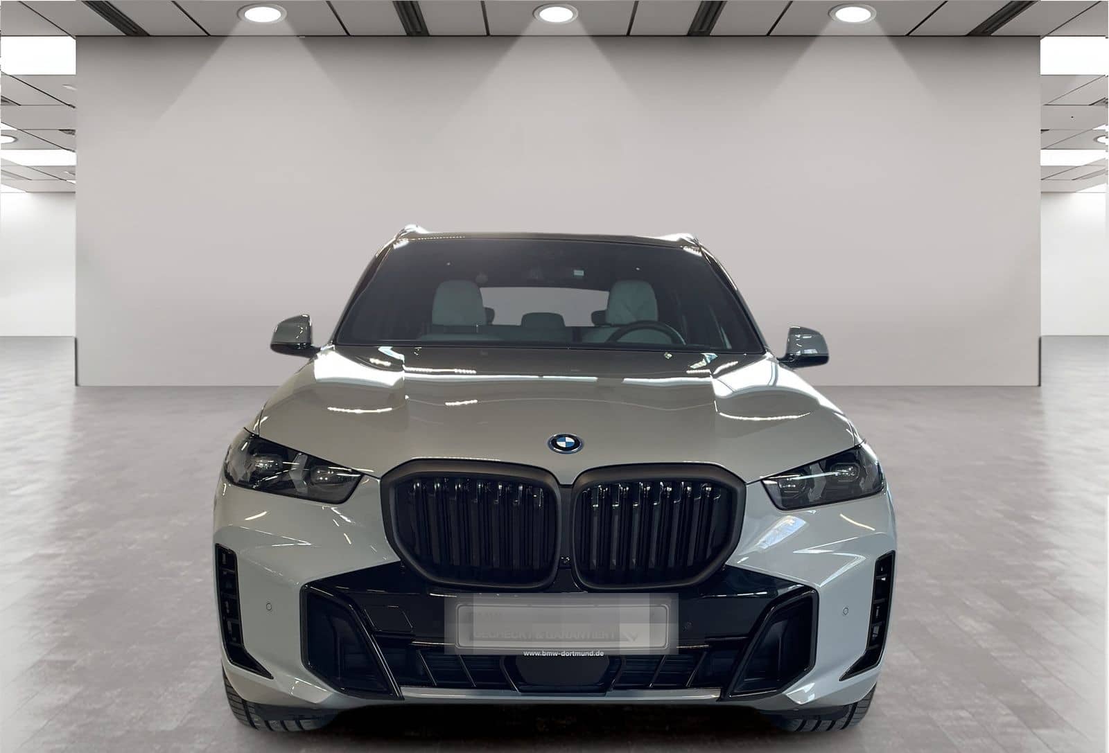 BMW X5 xDrive50e M Sport AHK Driv.Assist.Prof LED foto 8