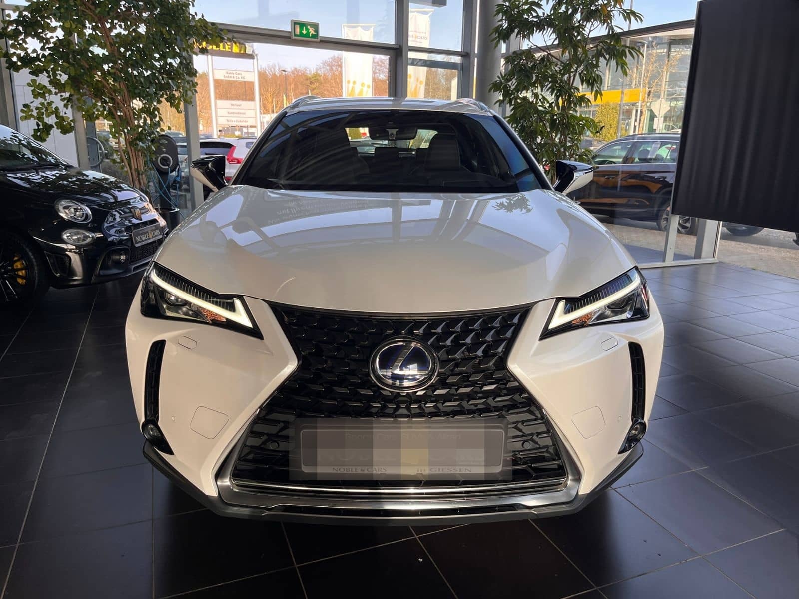 Lexus UX 250 h Launch Edition LED NAV SHZ RFK foto 2