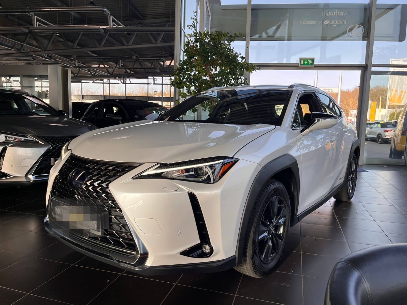 Lexus UX 250 h Launch Edition LED NAV SHZ RFK foto 3