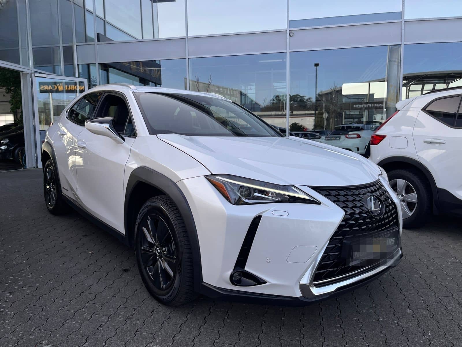 Lexus UX 250 h Launch Edition LED NAV SHZ RFK foto 24