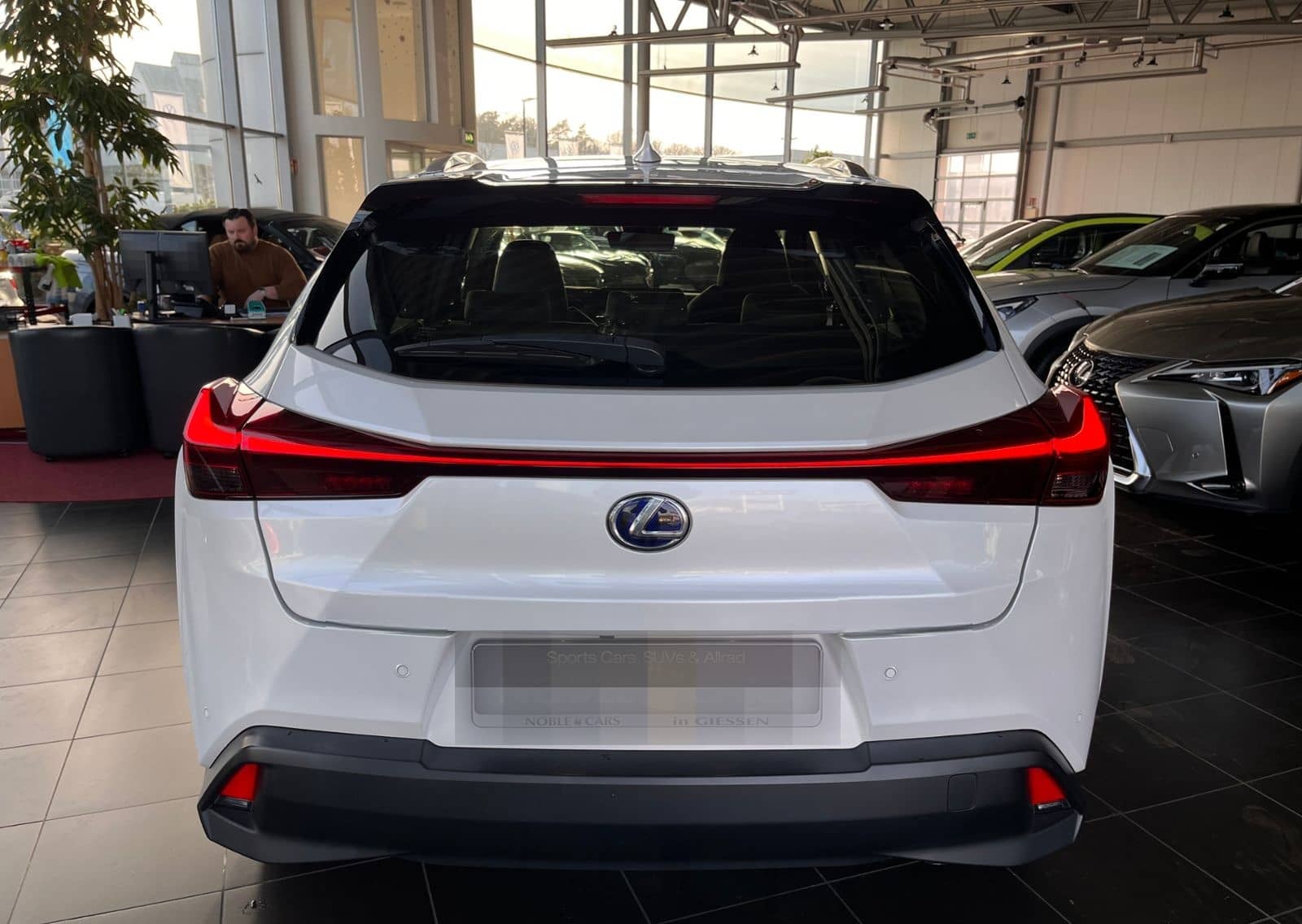 Lexus UX 250 h Launch Edition LED NAV SHZ RFK foto 6