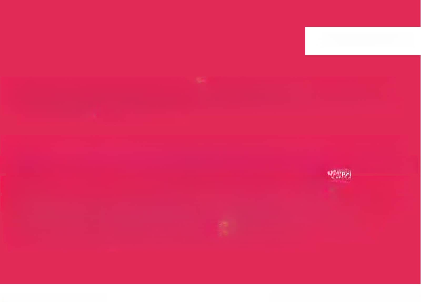 Audi A6 allroad quattro 40 TDI Standh AHK Luftf Navi foto 3