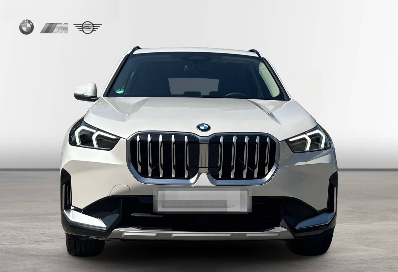 BMW X1 sDrive20i xLine*HiFi H&K*AHK*Pano*Memory*Komf foto 7