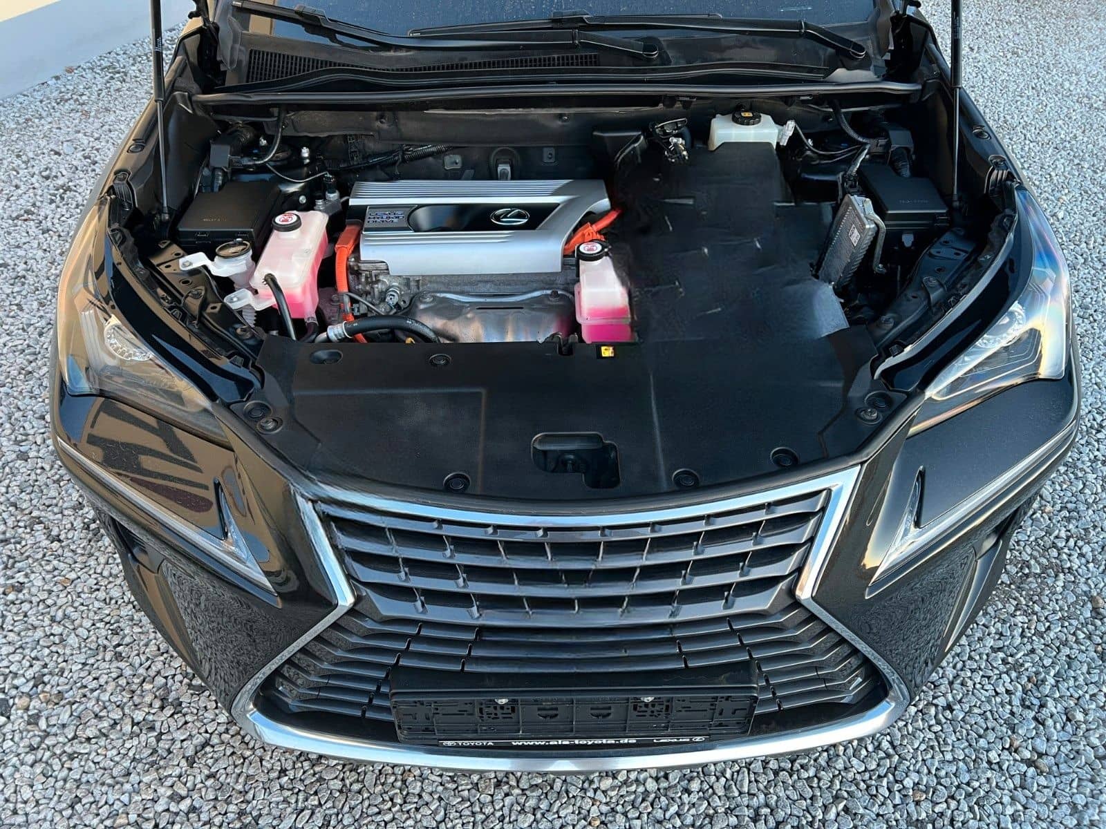 Lexus NX 300 300h Business Line foto 14