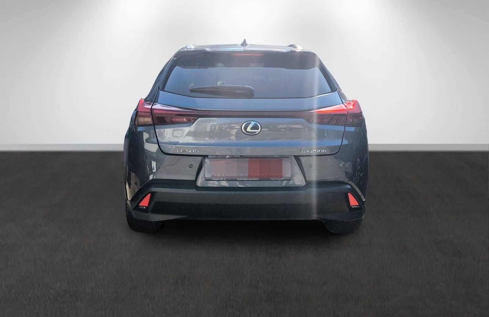 Lexus UX 250 h/Navi/Kamera/LED/1.Hand/Top foto 4