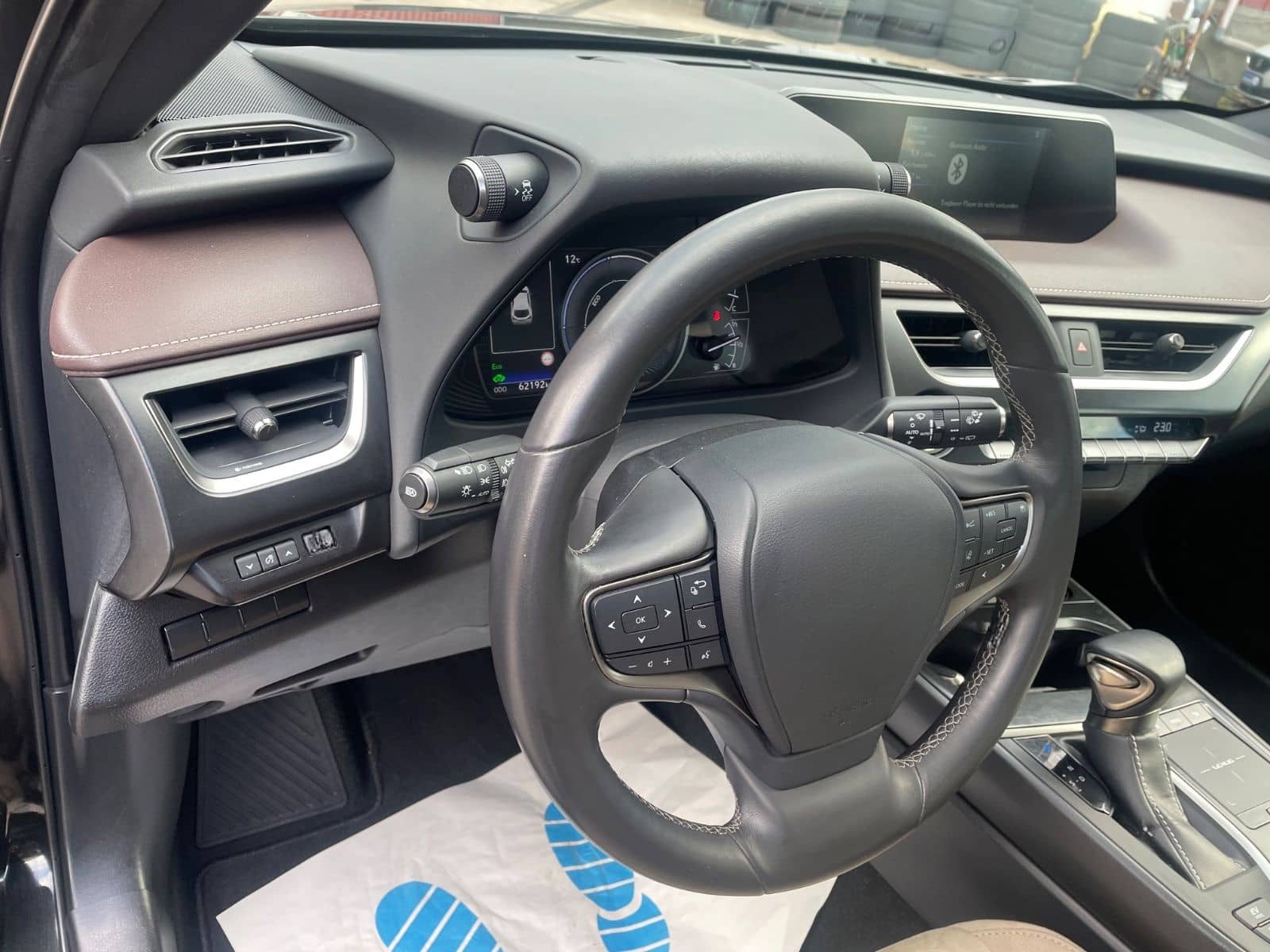 Lexus UX250H 2,0 Hybrid Automatik/Leder/Klima/Navi/Kam foto 11