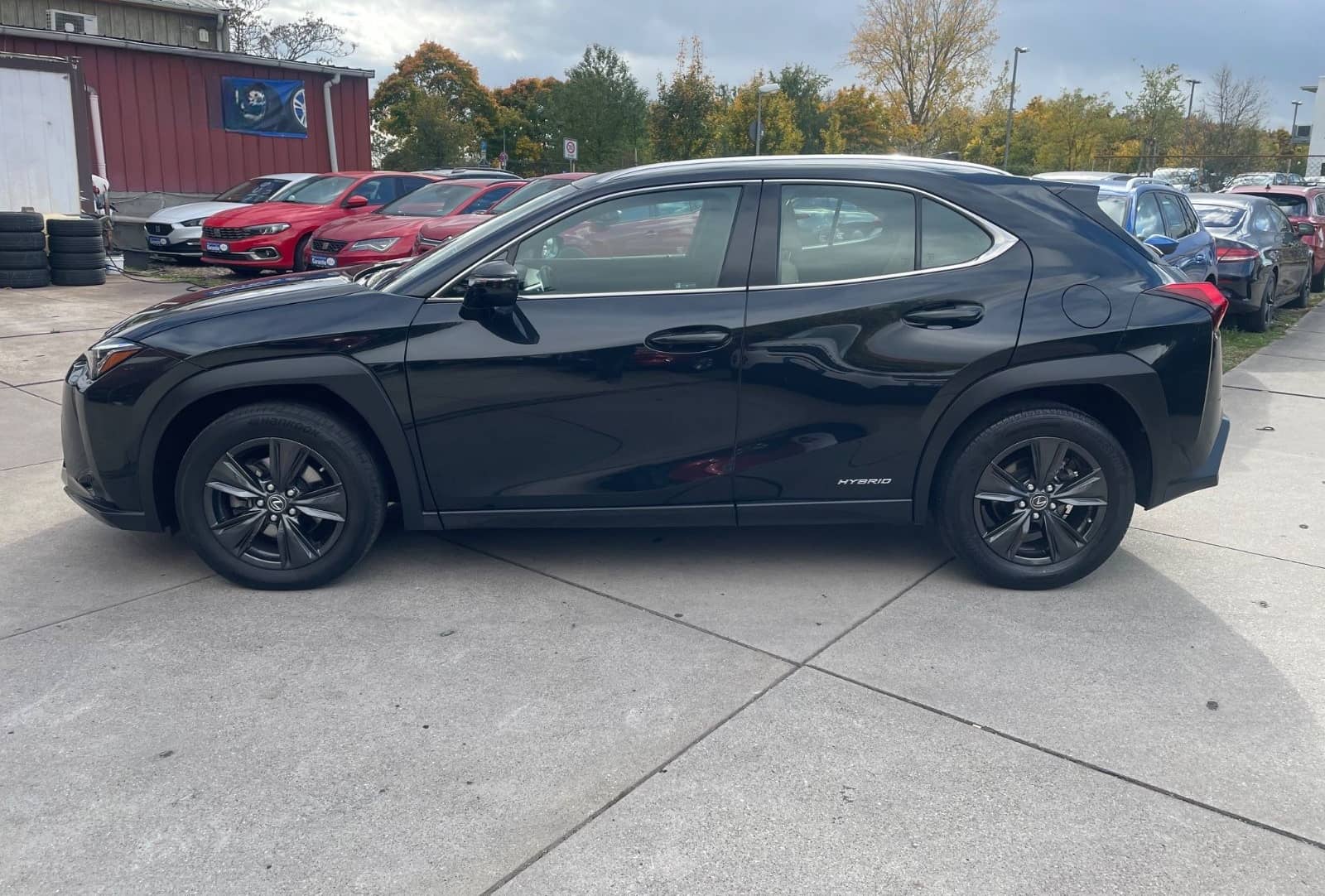 Lexus UX250H 2,0 Hybrid Automatik/Leder/Klima/Navi/Kam foto 6