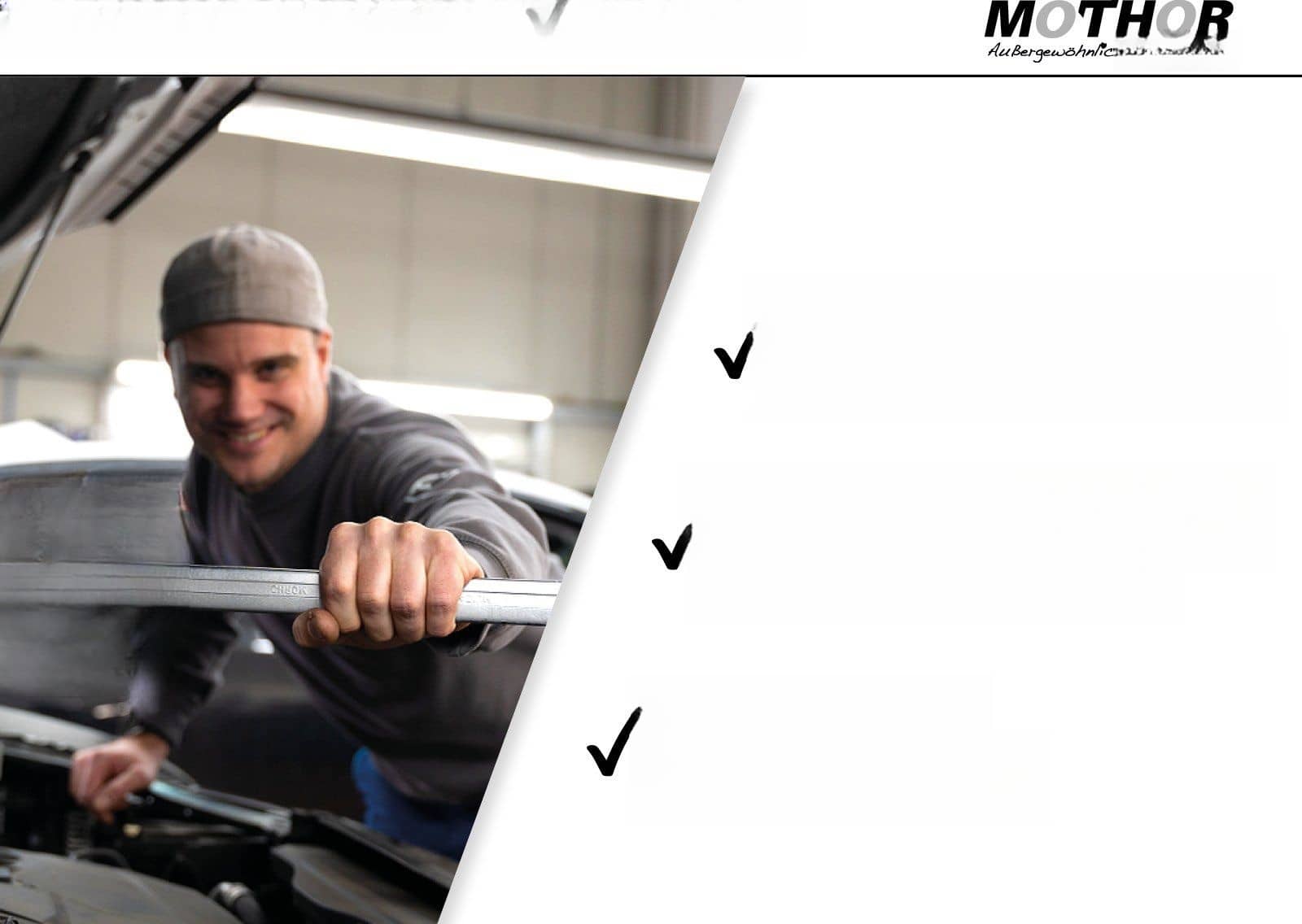 Volkswagen Golf VIII Variant Life 2.0 TDI Parklenkassistent foto 24