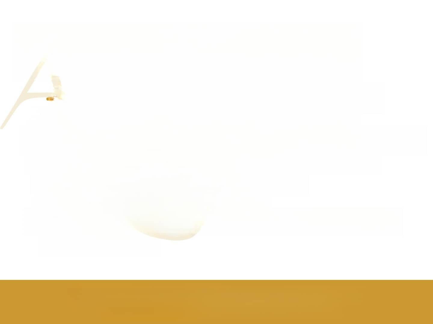 Audi RS6 4.0 TFSI quattro Laser Pano Air Suspension B foto 19