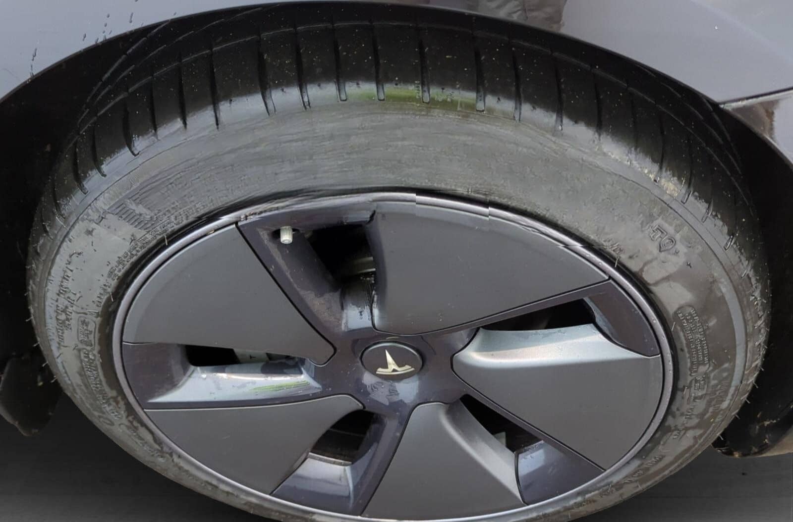 Tesla Model 3 Standard Range A.Pilot Pr.Int. Leder foto 15