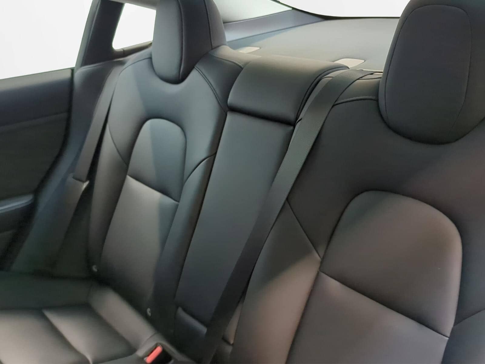 Tesla Model 3 Standard Range A.Pilot Pr.Int. Leder foto 8