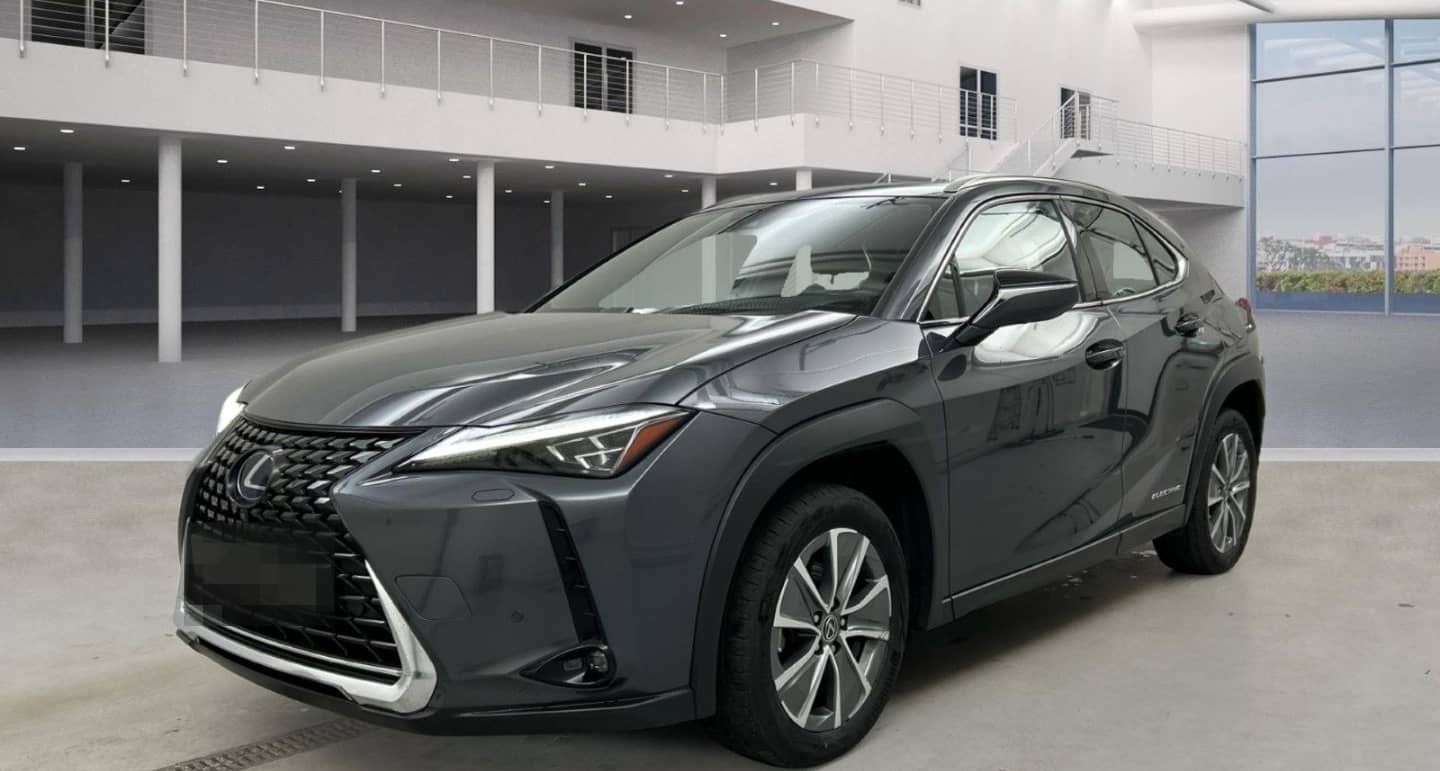 Lexus UX 300e Luxury Line 360 Grad Kamera Mark Levinso foto 1