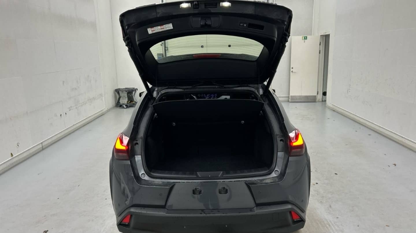 Lexus UX 300e Luxury Line 360 Grad Kamera Mark Levinso foto 19