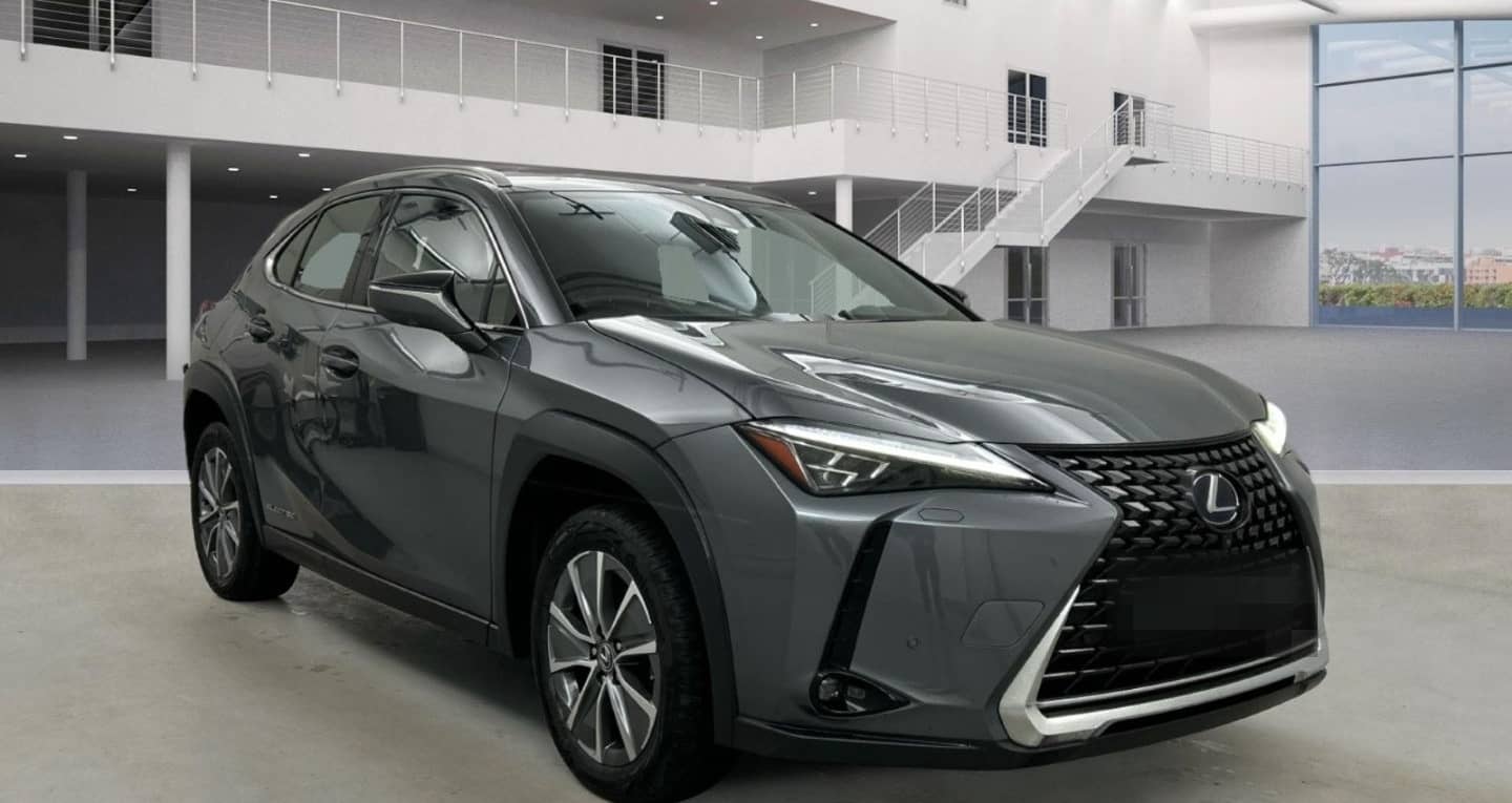 Lexus UX 300e Luxury Line 360 Grad Kamera Mark Levinso foto 2
