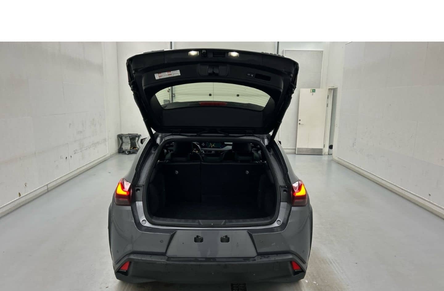 Lexus UX 300e Luxury Line 360 Grad Kamera Mark Levinso foto 20