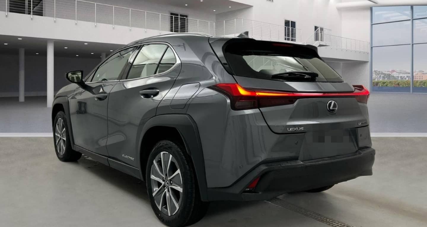 Lexus UX 300e Luxury Line 360 Grad Kamera Mark Levinso foto 4
