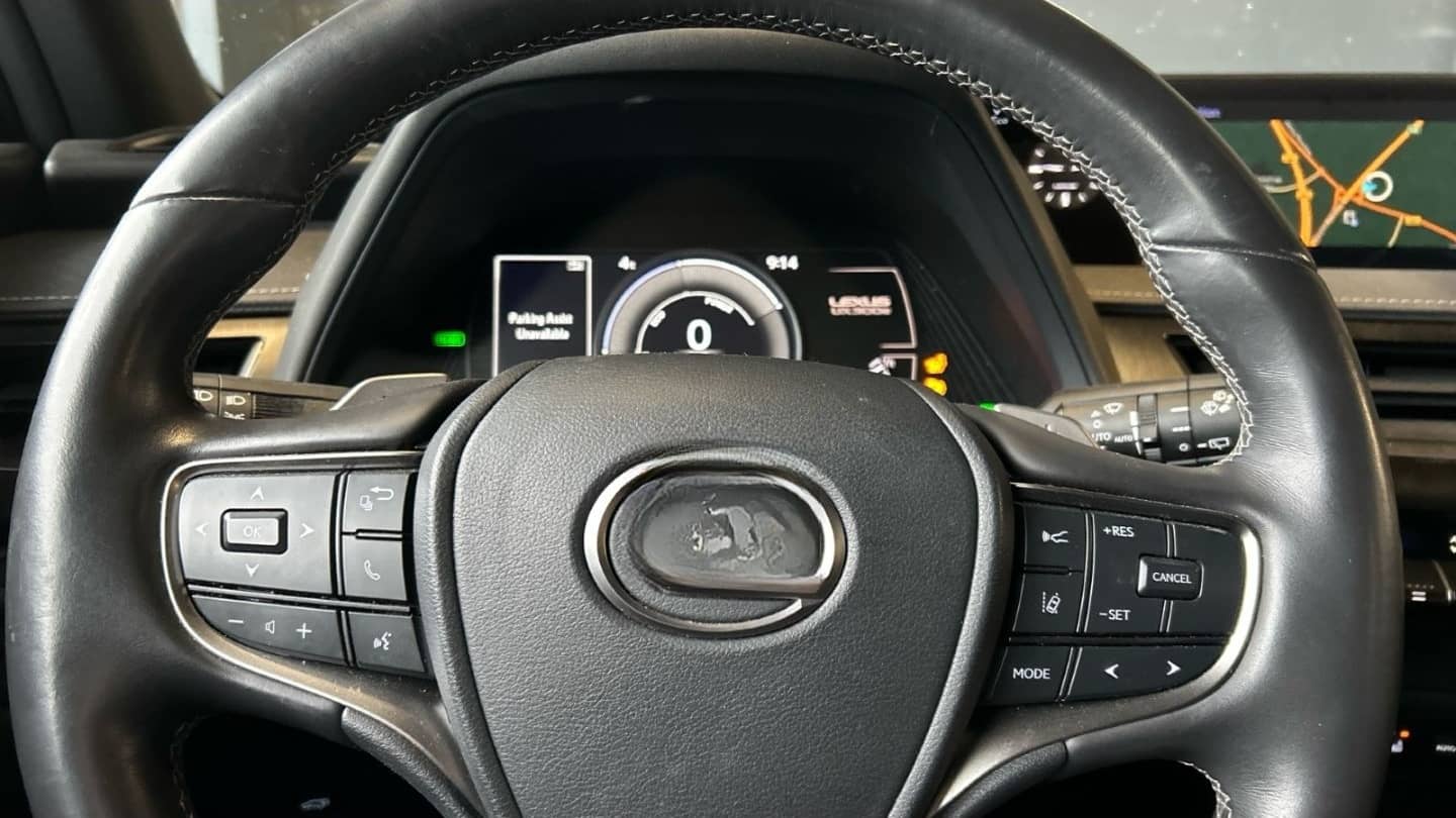 Lexus UX 300e Luxury Line 360 Grad Kamera Mark Levinso foto 7