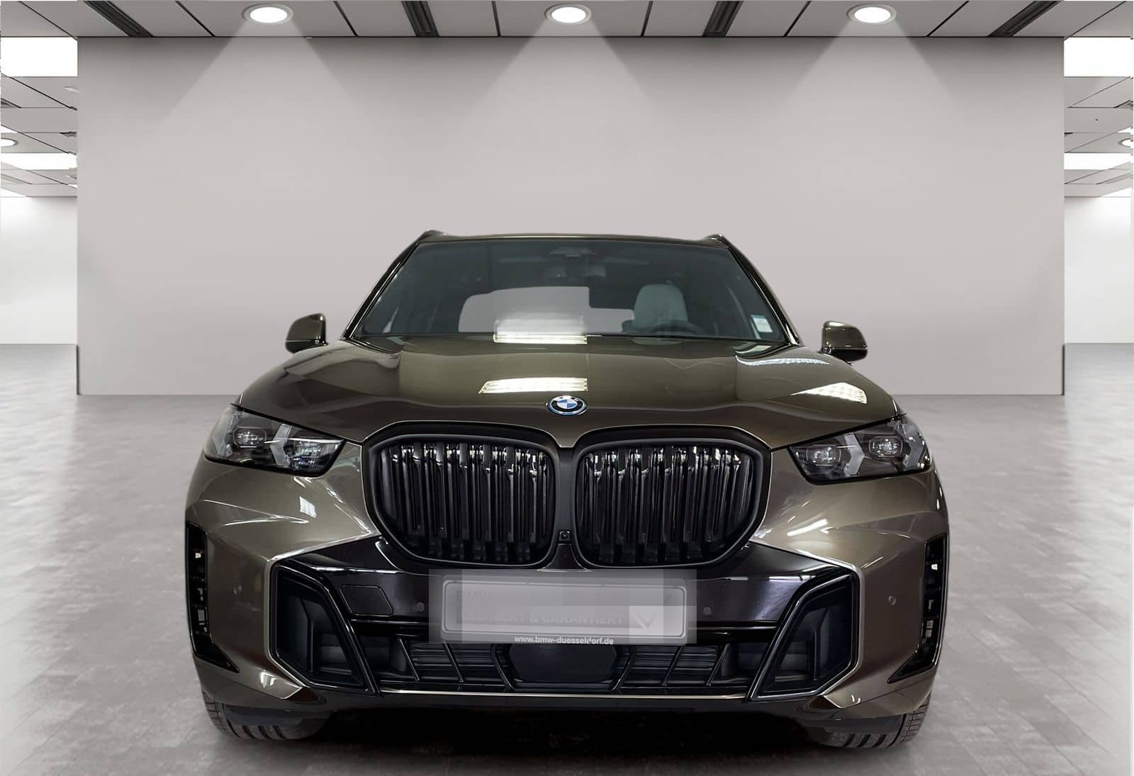 BMW X5 xDrive50e M Sport AHK Driv.Assist.Prof LED foto 8