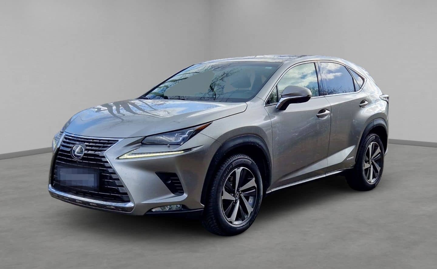 Lexus NX 300h E-Four Luxury Pano Memory Sitze 360 Kame foto 1