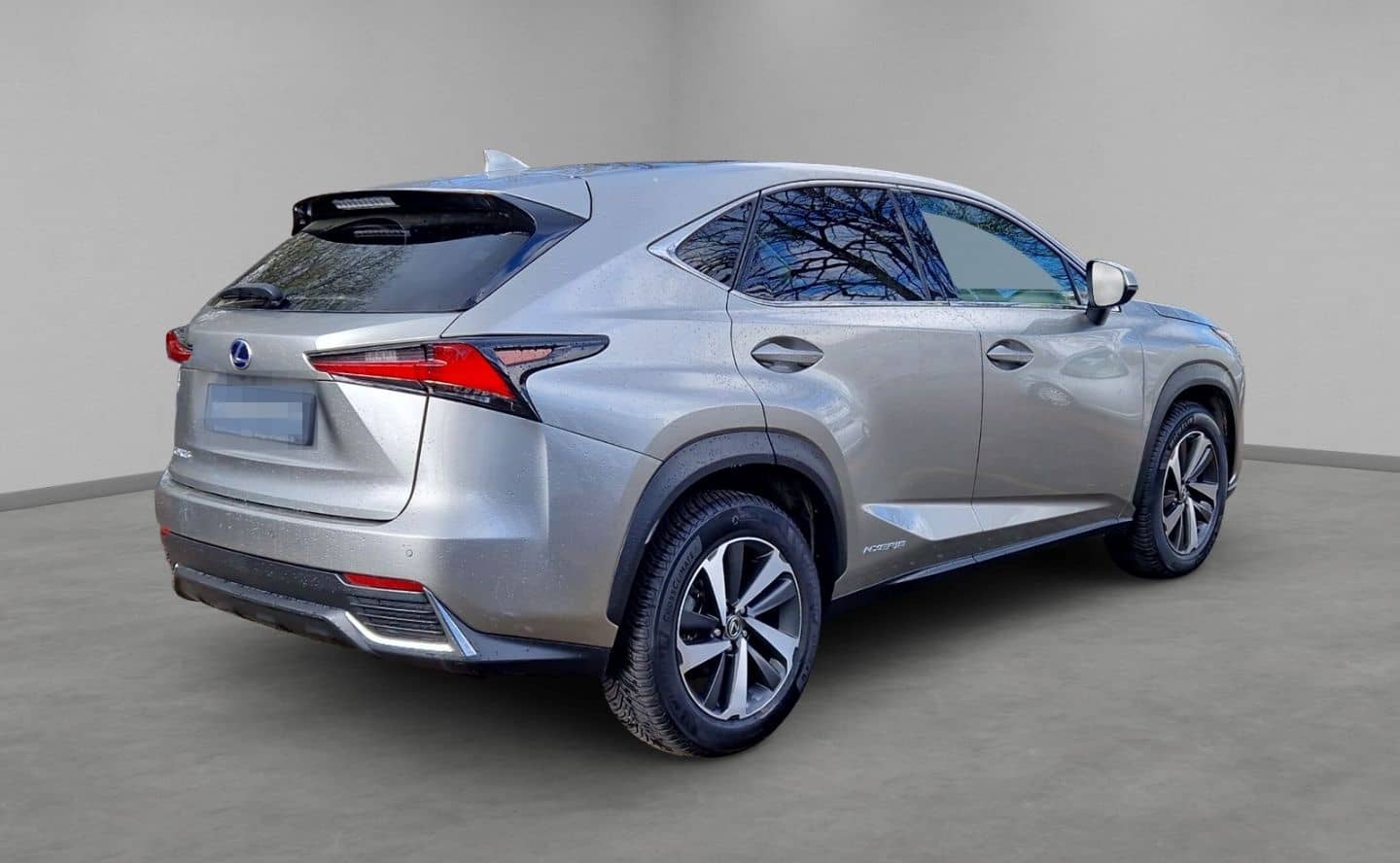 Lexus NX 300h E-Four Luxury Pano Memory Sitze 360 Kame foto 5