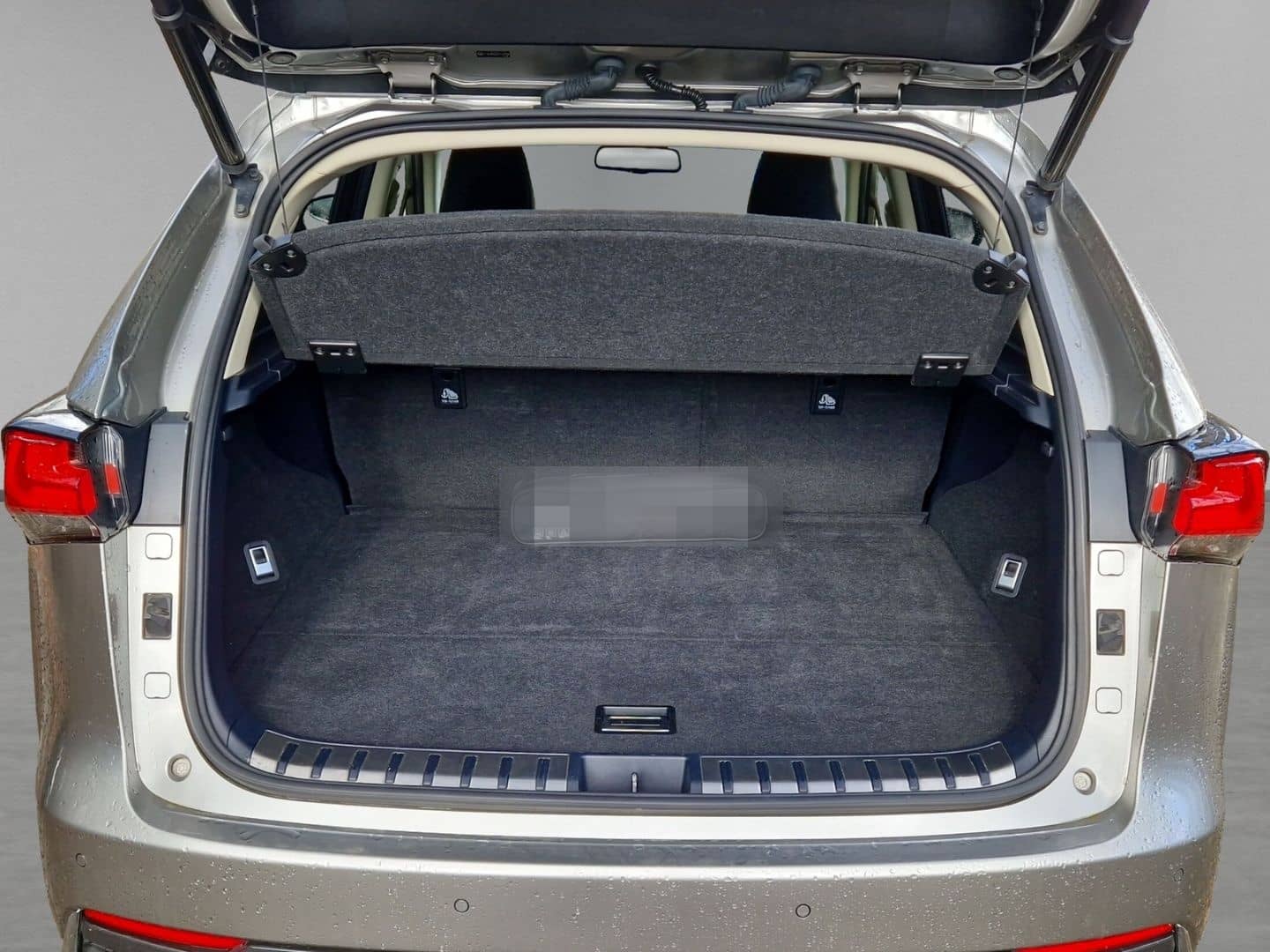 Lexus NX 300h E-Four Luxury Pano Memory Sitze 360 Kame foto 9