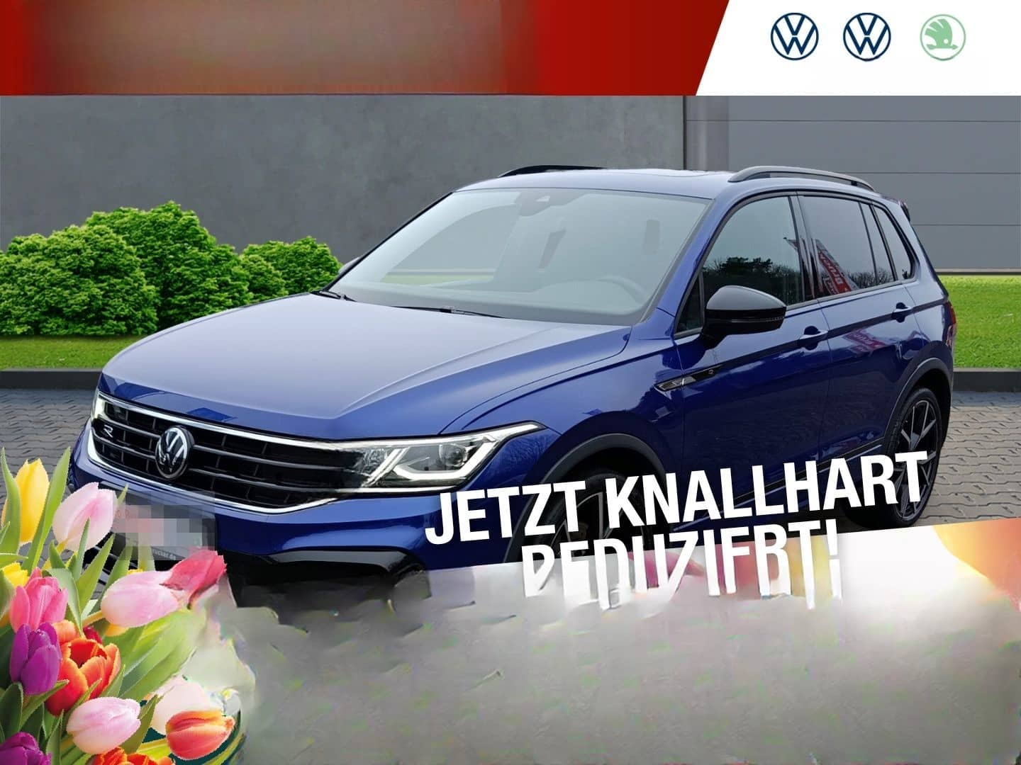 Volkswagen Tiguan R 2.0 TSI 4Motion+PDC+Sitzhzg+Ahk foto 1