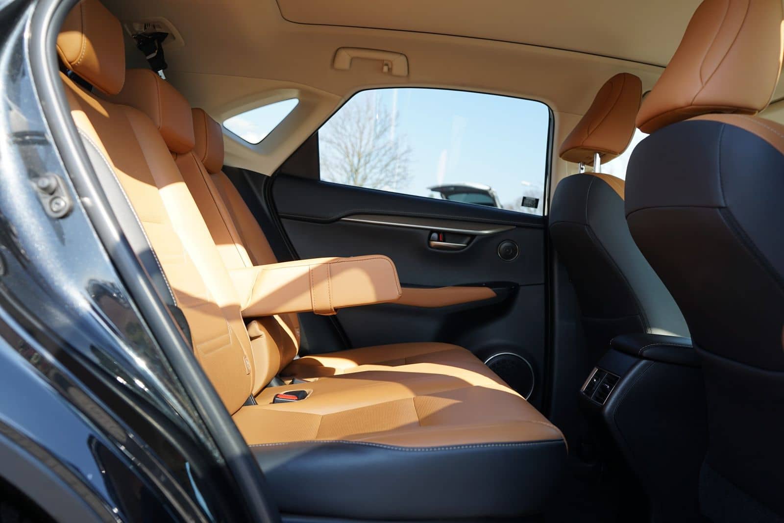 Lexus NX 300h Executive Line (E-Four) LED Navi Kamera foto 13