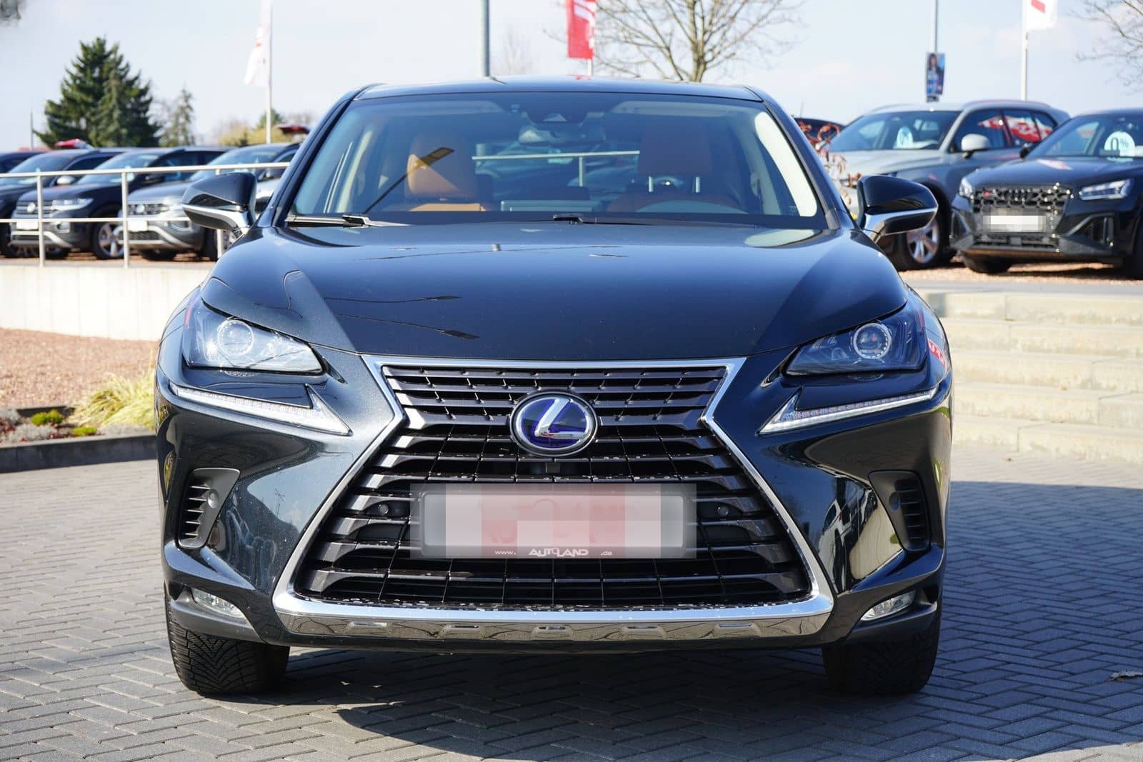 Lexus NX 300h Executive Line (E-Four) LED Navi Kamera foto 3
