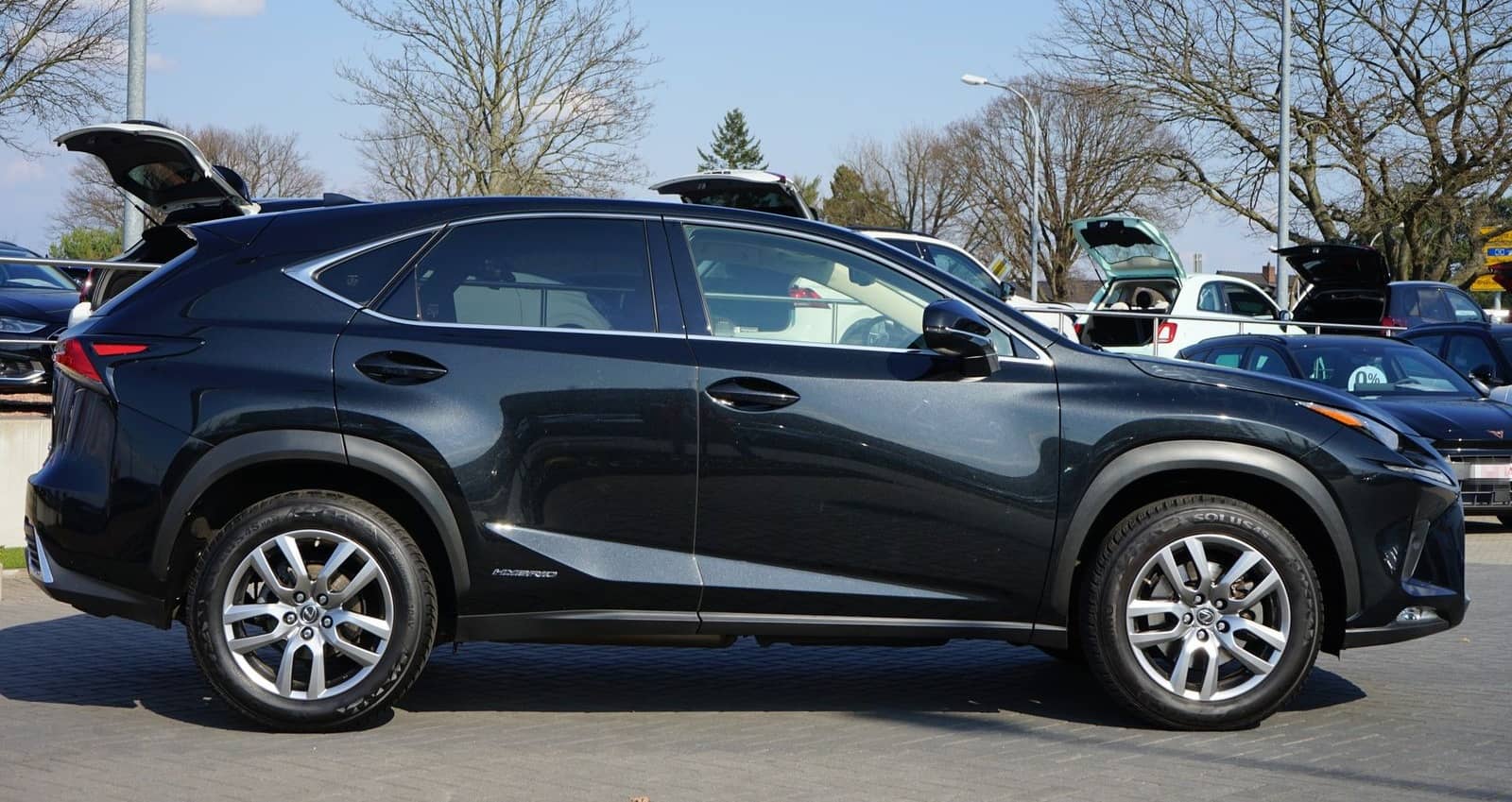 Lexus NX 300h Executive Line (E-Four) LED Navi Kamera foto 5